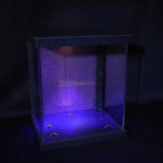 BC_NM-“Utsuroi” glass case L